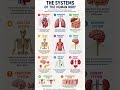 All Systems in Human Body