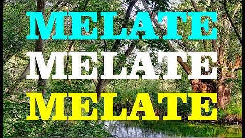 Como generar aleatorios para el melate con este Programa