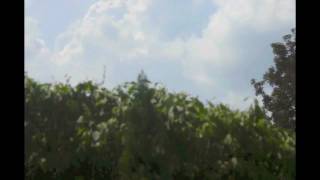 Wolken Über Ulm - Timelaps