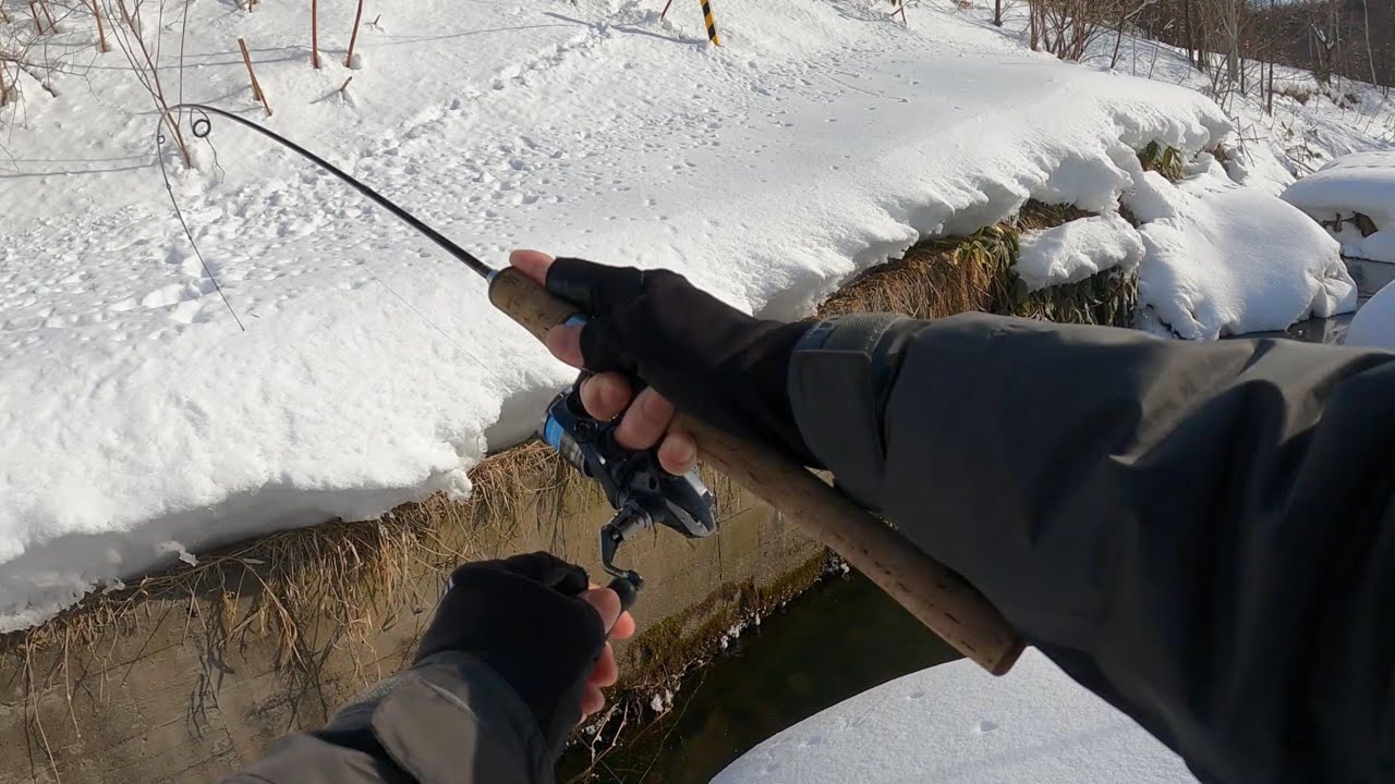 真冬の魚の居場所