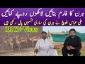 Deer Farming in Pakistan | Deer Farming Business| Hiran Farming in Pakistan| Deer Farming
