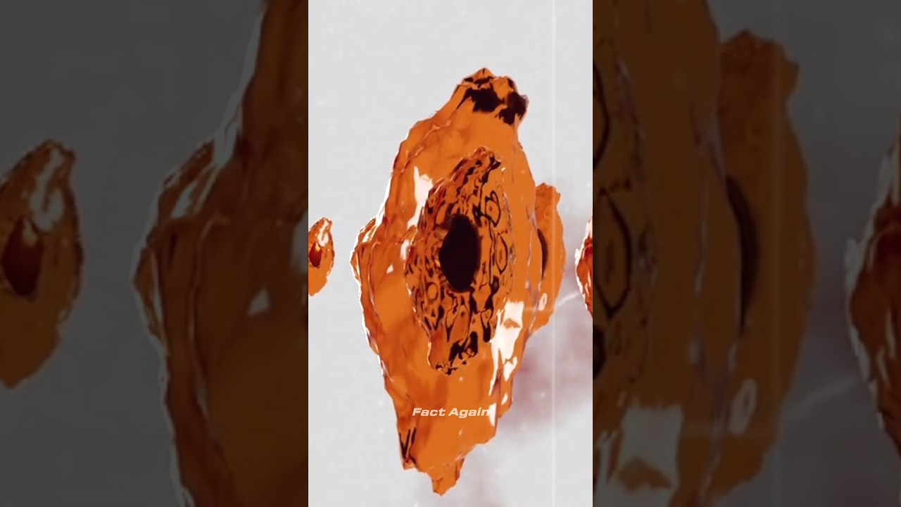 Most Rarest Blood Group ❓