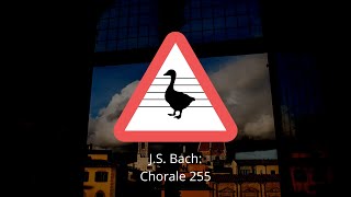 J. S. Bach: Chorale 255 - Untitled Virtual Ensemble Performance