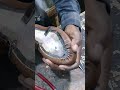 lasting process