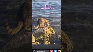 Herkes Kısmetini Yer