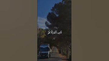 إني توكلت على الله ربي وربكم ۚ ما من دابة إلا هو آخذ بناصيتها ۚ إن ربي على صراط مستقيم #سورة_هود(56)