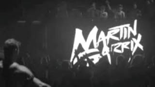 Martin Garrix Animals (Speed Up) Resimi