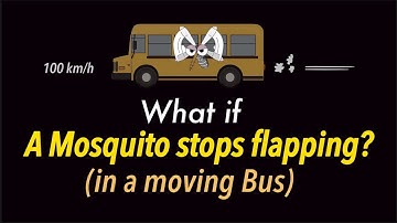 The Hidden Physics of a Mosquito in a Moving Bus