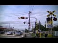 富山ライトレール　踏切撮影 の動画、YouTube動画。