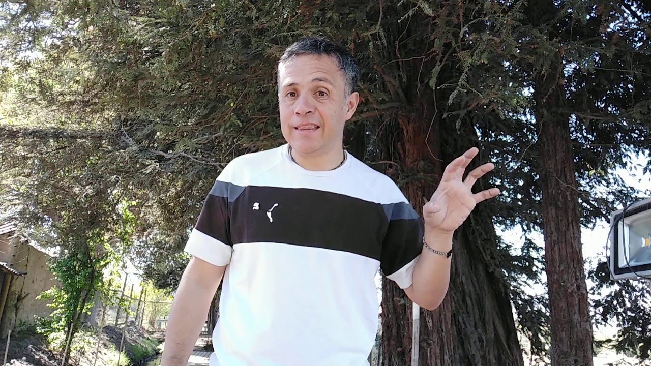 Comentarios sobre Prelación de Créditos.