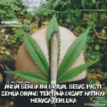 Caption bijak🤠😇