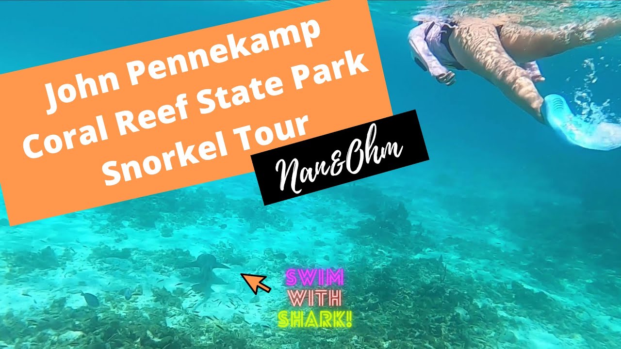 pennekamp snorkeling tour