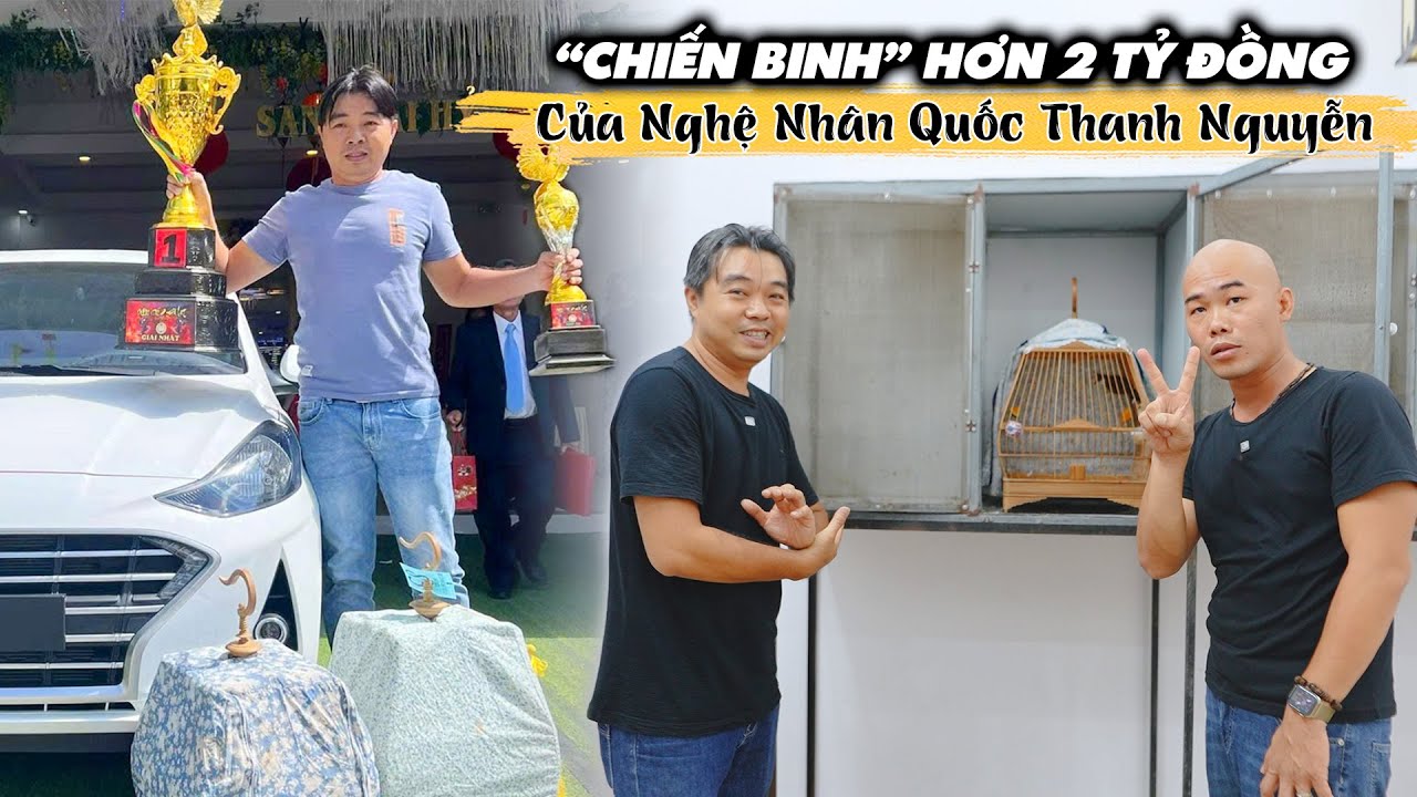 CHIM CHÀO MÀO TRỊ GIÁ HƠN 2 TỈ ĐỒNG CỦA NGHỆ NHÂN QUỐC THANH NGUYỄN,THÚ CHƠI XA XỈ