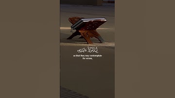 كتاب أنزلناه إليك مبارك ليدبروا آياته اسلام صبحي سورة ص #رحيق_الايمان #quran #المصحف #اكسبلور