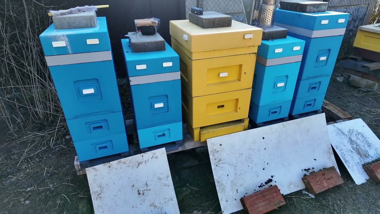 Drahanská vrchovina, kontrola ploch plodu v různých úlových systémech - Budování včelí farmy #87