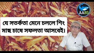 শিং চাষের সফলতায় সতর্কতাগুলো মেনে চলুন  For Getting Success to Sing Culture Follow the Instructions