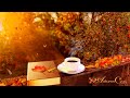 Serene autumn morning ambience coffee pouring leaves falling cozy nature sounds pages turning