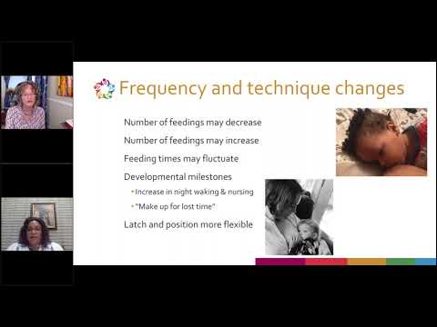 You've Got This! IBLCE Exam Prep with LER