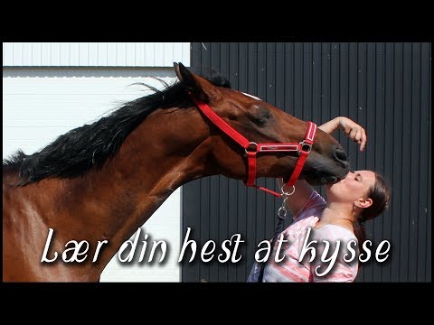 Video: Hvordan Man Lærer At Kysse