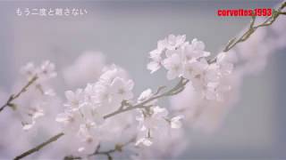 もう二度と離さない Youtube