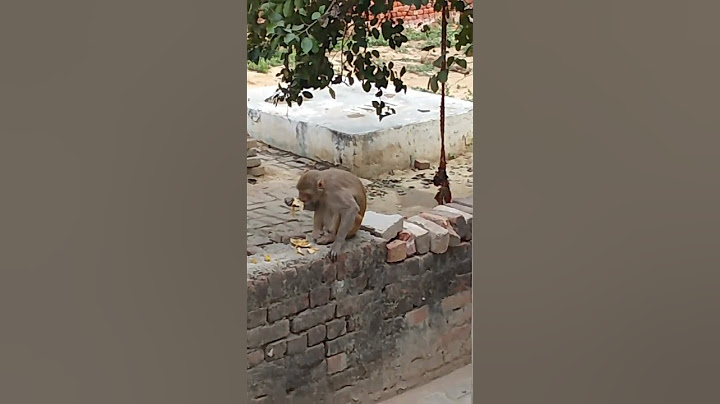 kan kan me Hari #devote #shankar #kanha#hanuman