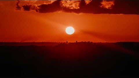 تلاوة هادئة عذبة تُريح القلوب _ ضياء عبد القادر