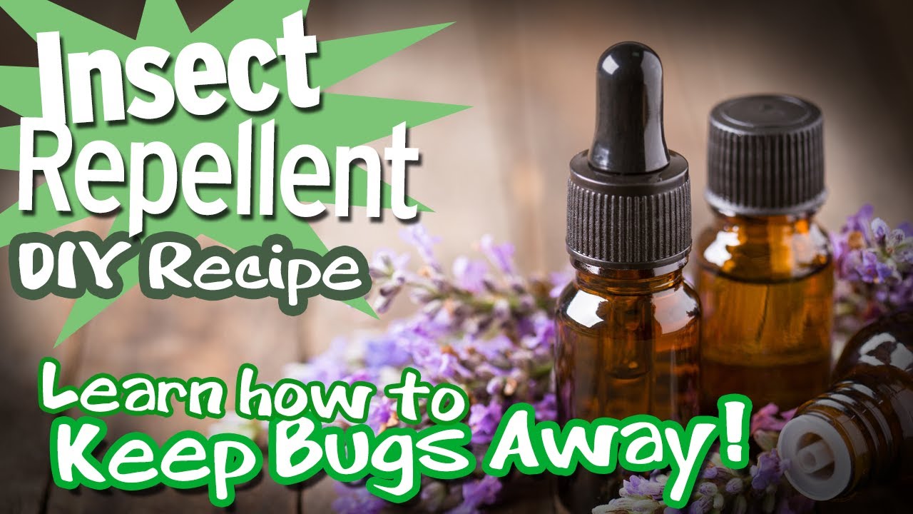 Insect Repellent Recipe, Learn how to Keep Bugs Away! DIY