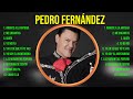 Pedro Fernández ~ Greatest Hits Full Album ~ Best Old Songs All Of Time