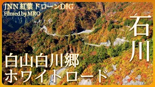 白山白川郷ホワイトロードの紅葉【JNN 紅葉ドローンDIG】