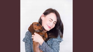 Pulsating Moods for Puppy Discovery