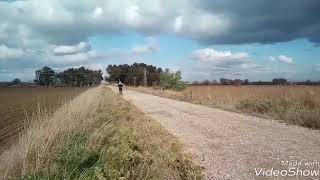 Hayatım Harabe Olmuş 2017 Kaptan Monstar