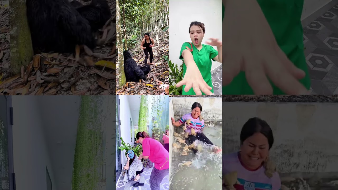 Wild Animal Pranks & Unexpected Jump Scares! 🦍🐸