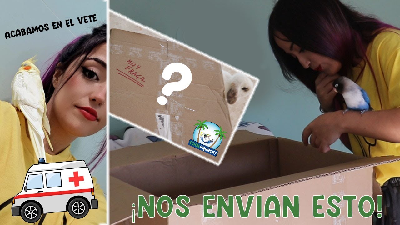 📦Unboxing | 🏥Acabamos en el veterinario con Dracarys