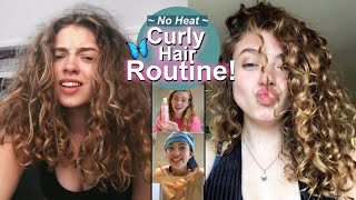 NoHeat Curly Haircare Routine 2020!! Vegan + Cruelty Free