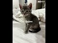 Not AI#beforeandafter