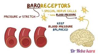 ما هى اسباب انخفاض ضغط الدم واعراضه وعلاجه ؟