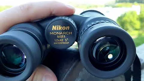 Nikon Monarch 5 12×42 - 天天要聞