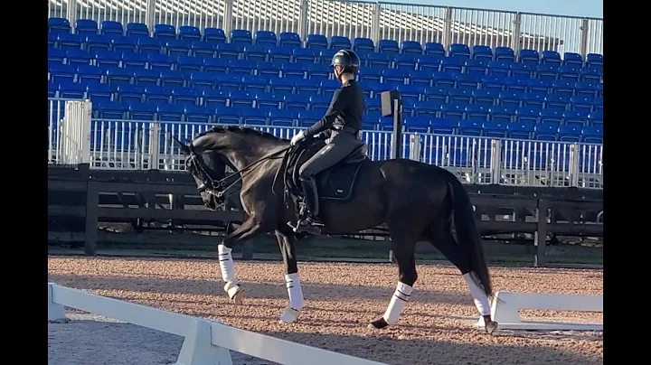 Day 3 Robert Dover HM Clinic w/Olivia Lagoy-Weltz ...