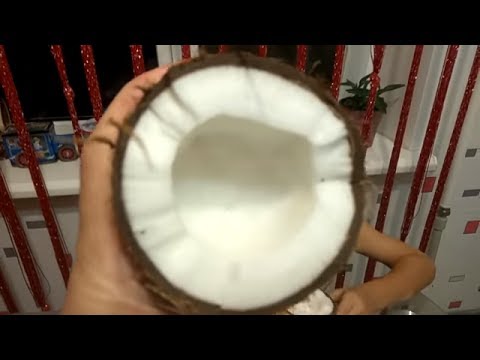 Video: Өрүктөн токочторду кокос кабыгы менен кантип жасаш керек