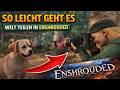 ENSHROUDED PATCH 8  ❤️ So teilst du deine Welt mit anderen ❤️