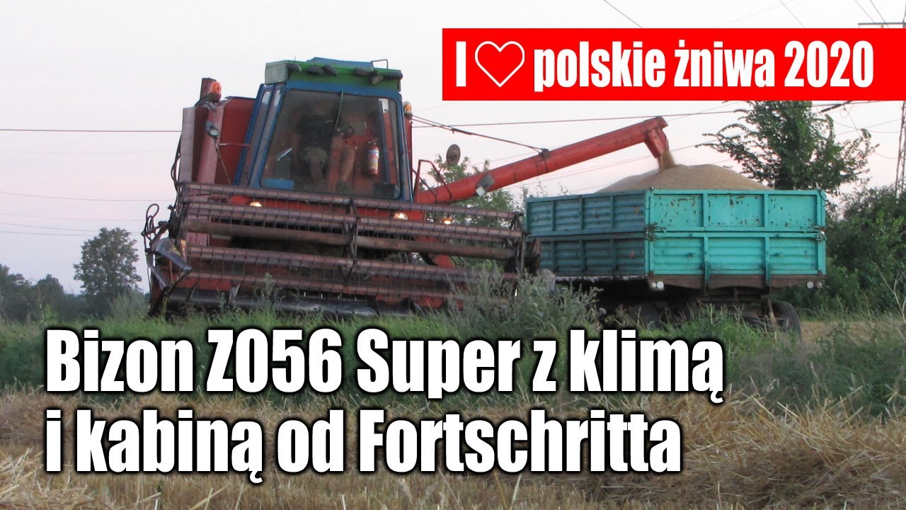 maxresdefault Polskie żniwa 2020   Bizon Z056 Super z klimą i kabiną od Fortschritta   VIDEO