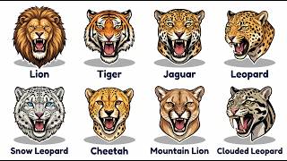Every Big Cat Explained in 15 Minutes | Animals Explained