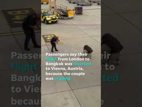 Watch: Woman throws over $6,000 on tarmac after argument diverts plane #Shorts