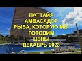 Паттайя. Амбасадор. Рыба, которую мы готовим. Цены. Декабрь 2023 год.