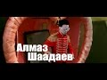АЛМАЗ ШААДАЕВ ТАТЫНАСЫН