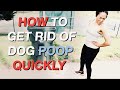 How to GET RID OF DOG POOP Quickly | FUNNY!!