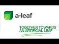 A-LEAF – Together towards an artificial leaf
