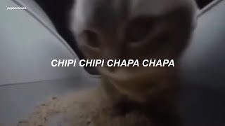 La canción del gato bailando que dice: chipi chipi chapa chapa dubi dubi daba daba (Letra/Lyrics) Resimi