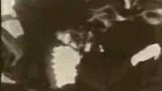 PJ Harvey - The Piano (Fan Video)