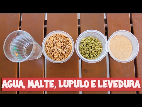 Vídeo: Como Fazer Cerveja Parte I: Equipamentos E Ingredientes